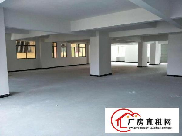 
		虎门南栅新出一原房东全新独栋厂房8400平
	