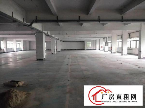 
		虎门大宁新出一5层独门独院厂房15000平
	