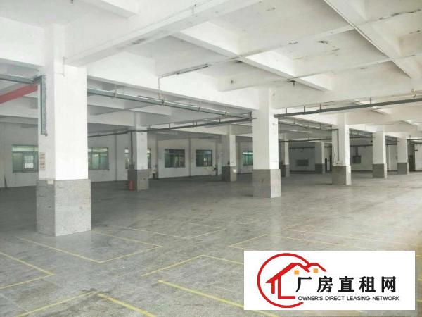
		虎门大宁新出一5层独门独院厂房15000平
	
