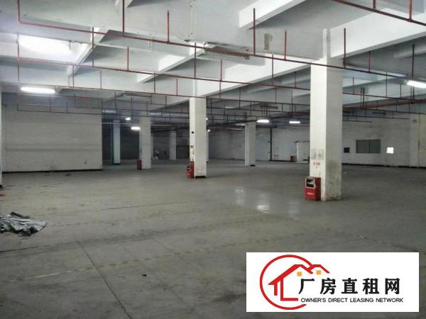 
		虎门北栅新出一花园式独院厂房一楼3600平
	