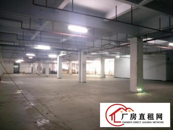 
		虎门北栅新出一花园式独院厂房一楼3600平
	