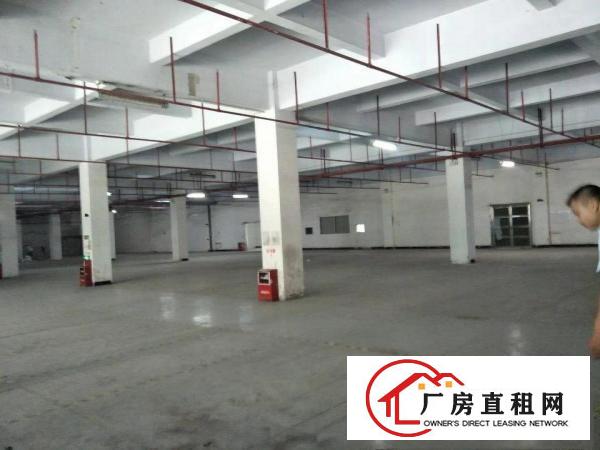 
		虎门北栅新出一花园式独院厂房一楼3600平
	