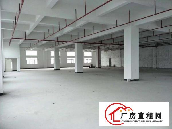 
		虎门怀德新出一全新14000平厂房
	
