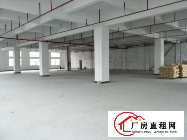 
		虎门怀德新出一全新14000平厂房
	
