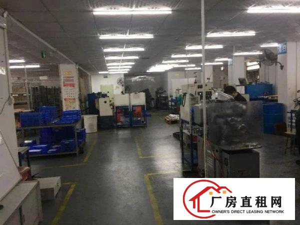
		虎门南栅二楼新出一带装修厂房1000平方，无转让费
	