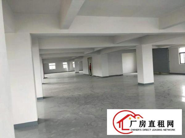 
		虎门南栅新出一全新独栋九层厂房7200平
	