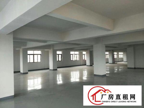 
		虎门南栅新出一全新独栋九层厂房7200平
	