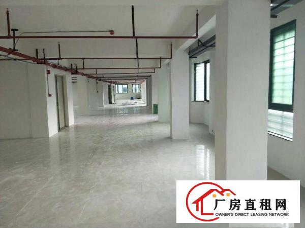 
		虎门新联新出一六层全新独栋厂房4200平
	