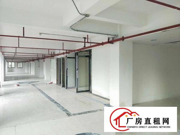 
		虎门新联新出一六层全新独栋厂房4200平
	