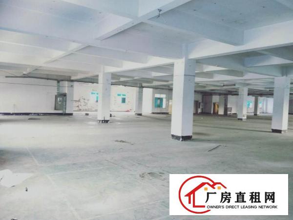 
		虎门居岐新出花园式独院厂房楼上单一层厂房4200平
	