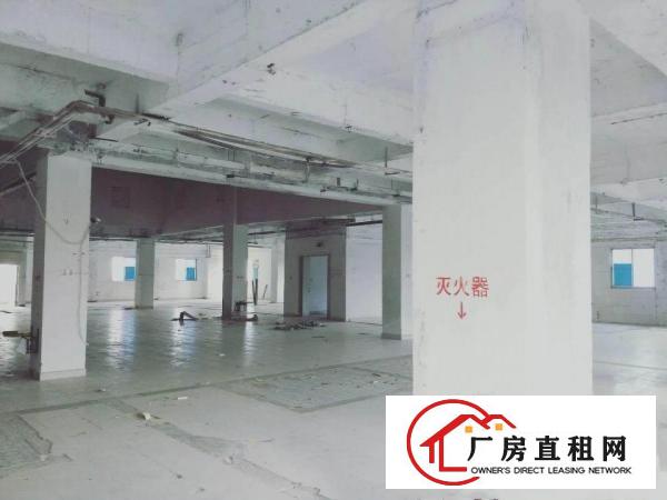 
		虎门居岐新出花园式独院厂房楼上单一层厂房4200平
	