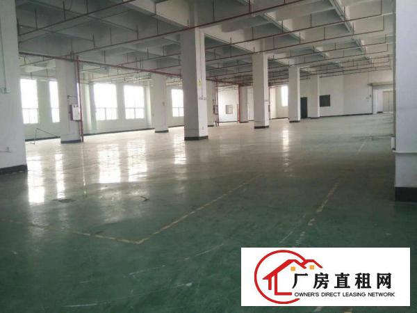 
		虎门北栅新出楼上4000平带装修厂房，无转让费
	