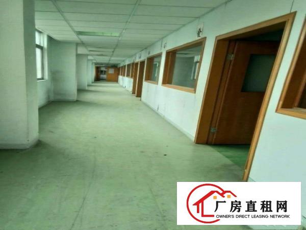 
		虎门北栅新出楼上4000平带装修厂房，无转让费
	