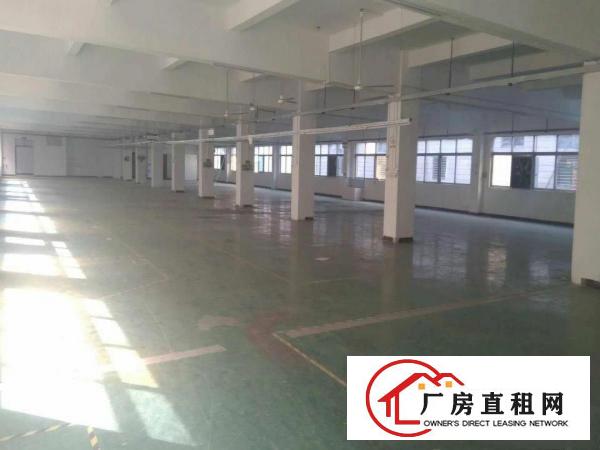 
		虎门北栅新出楼上4000平带装修厂房，无转让费
	