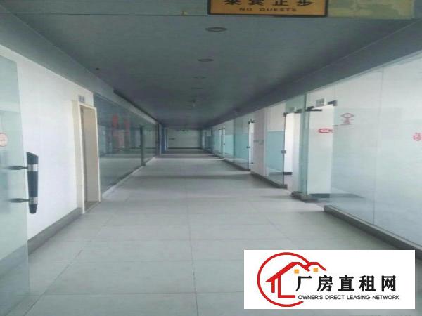 
		虎门北栅新出楼上4000平带装修厂房，无转让费
	