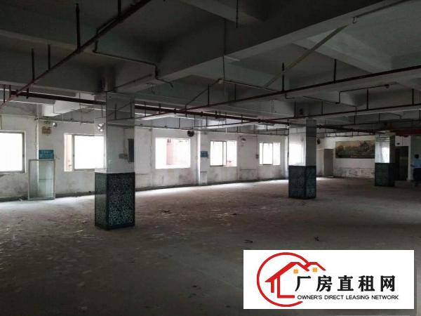
		虎门南栅新出一独门独院厂房5800平
	