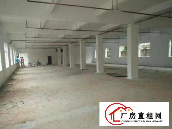 
		虎门滨海大道边红本独院厂房4200平招租，可分租
	