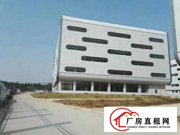 
		虎门保税区新出原房东红本独院290000平方出租
	