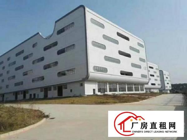 
		虎门保税区新出原房东红本独院290000平方出租
	