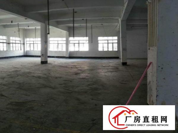
		虎门北栅新出面积500平米报价16价格可谈
	