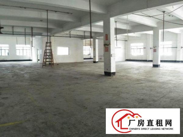 
		虎门北栅新出面积500平米报价16价格可谈
	