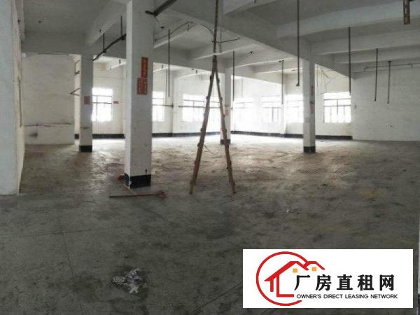 
		虎门北栅新出面积500平米报价16价格可谈
	