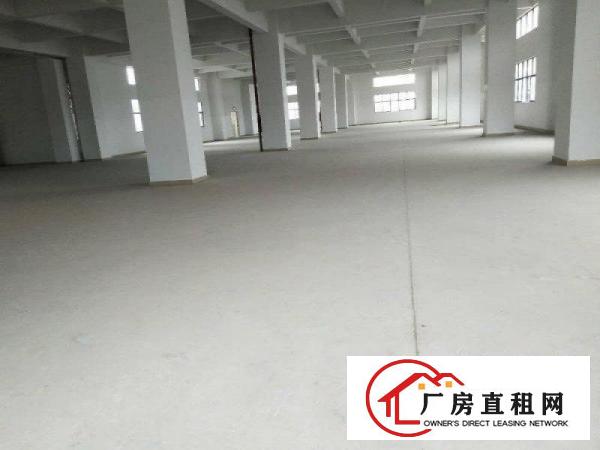 
		北栅高速出口新出一楼6.5米高标准厂房
	