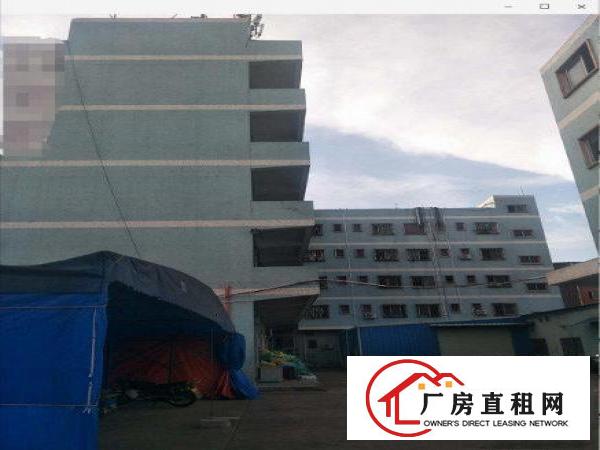 
		陈村原房东厂房1000平米，无公摊
	