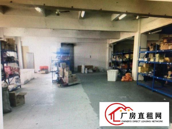 
		虎门一手标准厂房1100平方出租，仅租12元
	