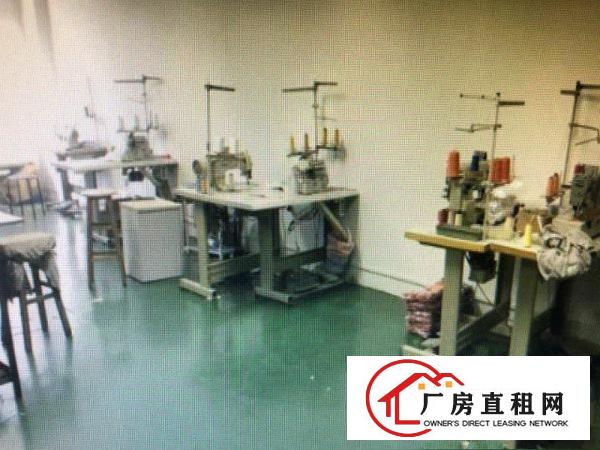 
		虎门一手标准厂房1100平方出租，仅租12元
	