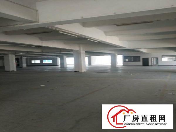 
		虎门镇靠沿江高速原房东1800平米带装修厂房出租
	