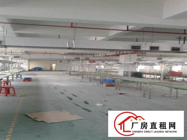 
		虎门镇龙眼广场附近一楼二楼每层1100平米厂房出租
	