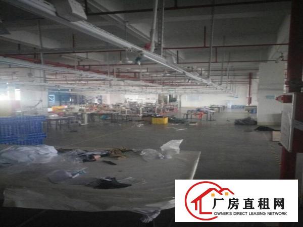 
		虎门镇南栅靠沿江高速靠长安1300平米整层厂房出租
	