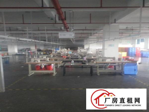 
		虎门镇南栅靠沿江高速靠长安1300平米整层厂房出租
	