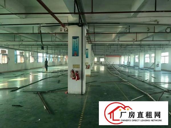 
		虎门镇北栅东坊路一楼或二楼1180平米厂房出租
	
