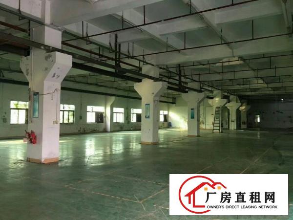 
		虎门镇北栅东坊路一楼或二楼1180平米厂房出租
	