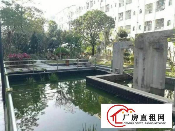 
		北栅新出花园式厂房一楼2000平带牛角
	