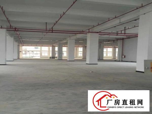 
		北栅新出花园式厂房一楼2000平带牛角
	