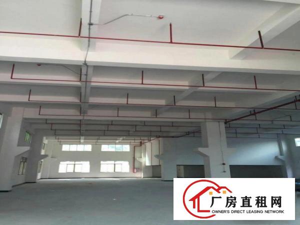 
		北栅新出花园式厂房一楼2000平带牛角
	