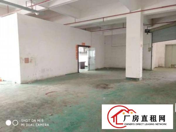 
		树田新出楼上带部分装修厂房1000平
	