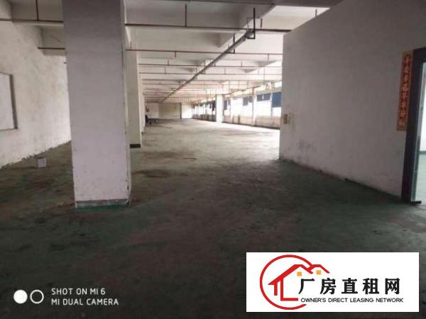 
		树田新出楼上带部分装修厂房1000平
	