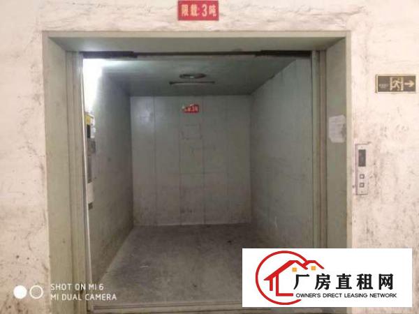 
		树田新出楼上带部分装修厂房1000平
	