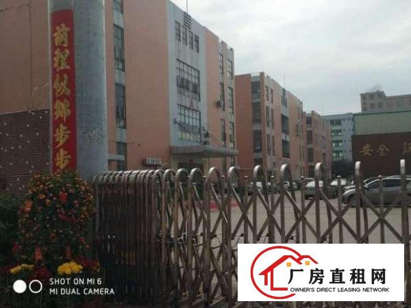 
		树田新出楼上带部分装修厂房1000平
	