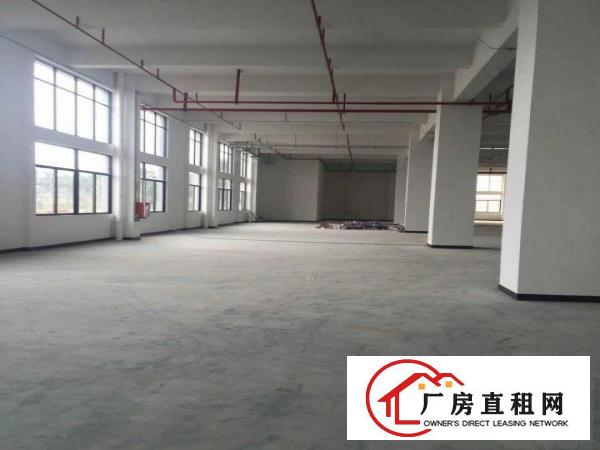 
		独门独院，虎门怀德工业区新建厂房招租
	