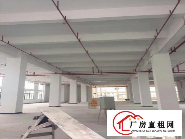 
		独门独院，虎门怀德工业区新建厂房招租
	