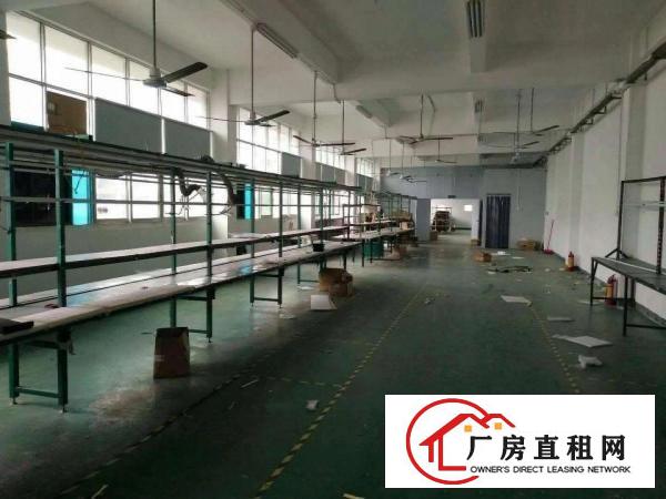 
		虎门北栅新出1800平带装修厂房
	