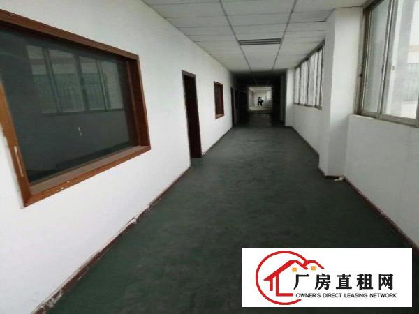 
		虎门北栅新出1800平带装修厂房
	