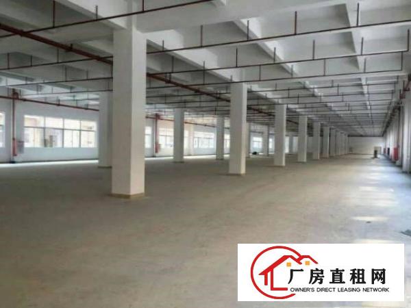 
		新出原房东独院厂房3800平方带装修招租
	