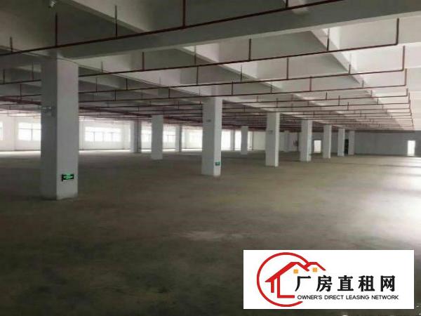 
		新出原房东独院厂房3800平方带装修招租
	