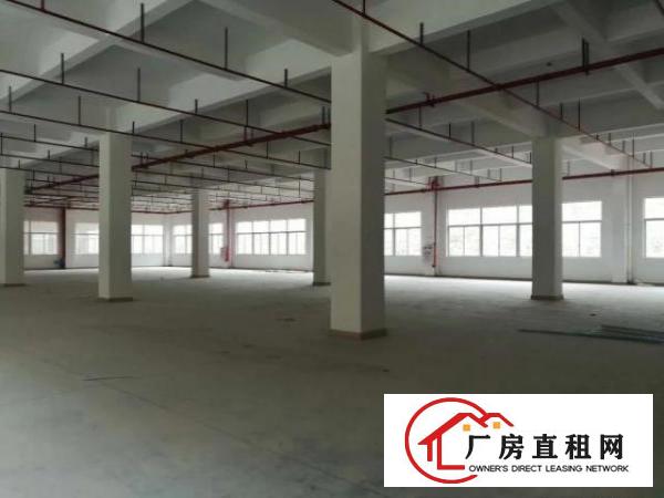 
		原房东独院标准厂房5600平方带装修招租大货梯
	